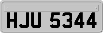 HJU5344