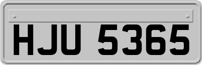 HJU5365