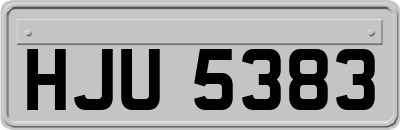 HJU5383