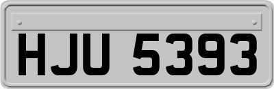 HJU5393