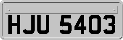HJU5403