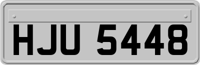 HJU5448