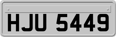 HJU5449