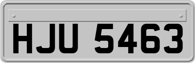 HJU5463