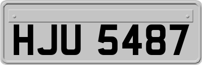 HJU5487