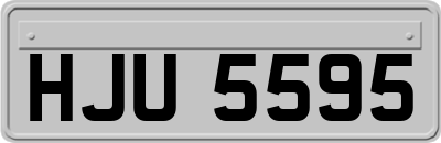 HJU5595