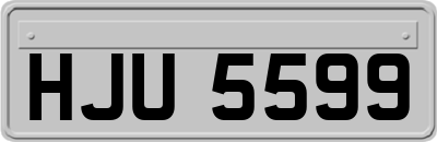 HJU5599