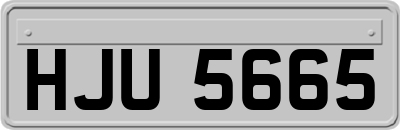 HJU5665