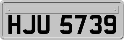 HJU5739