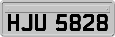 HJU5828