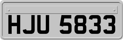 HJU5833
