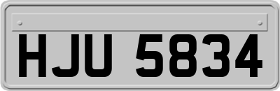 HJU5834
