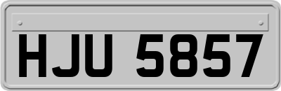 HJU5857