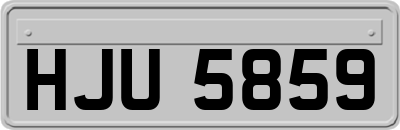 HJU5859