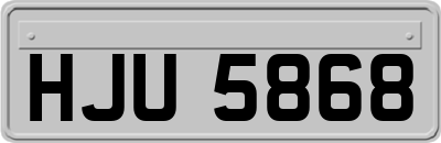 HJU5868