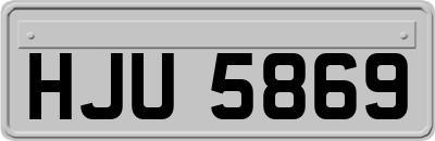 HJU5869