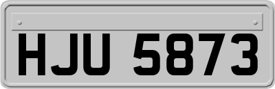 HJU5873