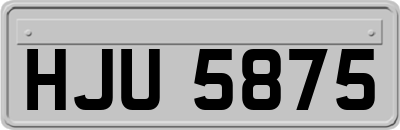 HJU5875