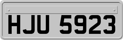 HJU5923