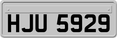 HJU5929