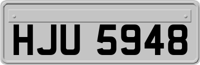 HJU5948