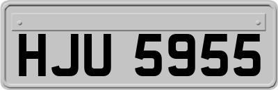 HJU5955