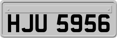 HJU5956
