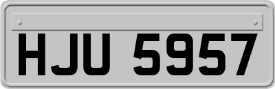 HJU5957