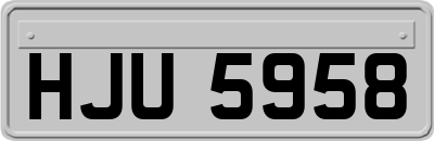 HJU5958