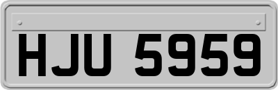 HJU5959