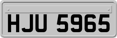 HJU5965
