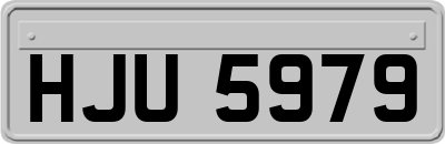 HJU5979