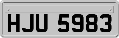 HJU5983