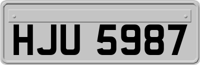 HJU5987