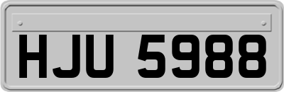 HJU5988