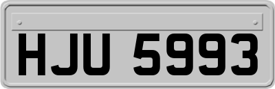HJU5993