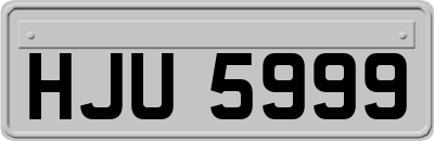 HJU5999