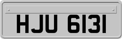 HJU6131