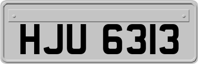 HJU6313