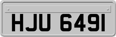 HJU6491