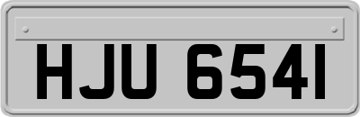 HJU6541