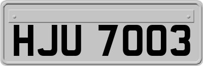 HJU7003