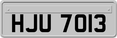 HJU7013