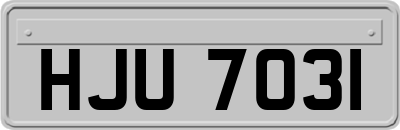 HJU7031