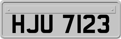 HJU7123