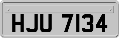 HJU7134