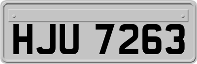 HJU7263