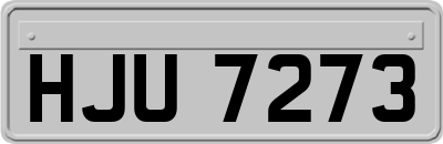 HJU7273