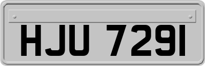 HJU7291