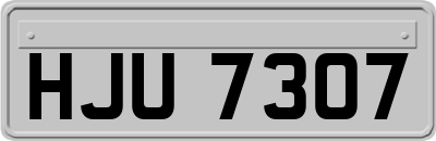 HJU7307